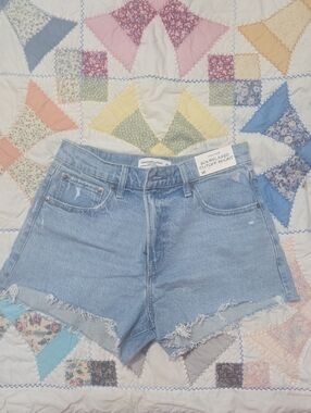 Abercrombie & Fitch Light Blue Denim High Rise 90's Relaxed Cutoff Short